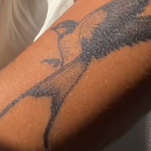 Meet your Posher, Nathan